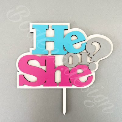 he or she تاپر