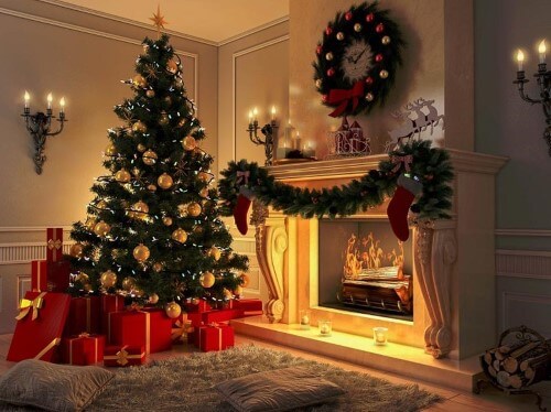 درخت کاج در کریسمس نماد چیست؟
